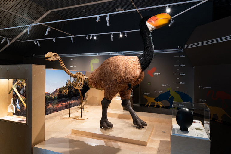 180704_megafauna_central_002