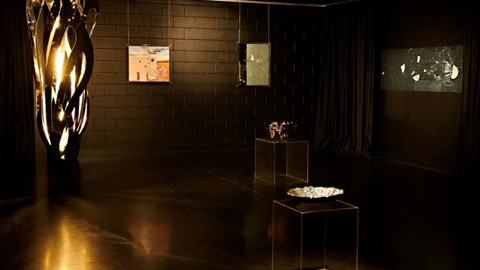 2024, Project Seed Exhibition, It Takes Longer Than You Think, Credit @Gretel Bull