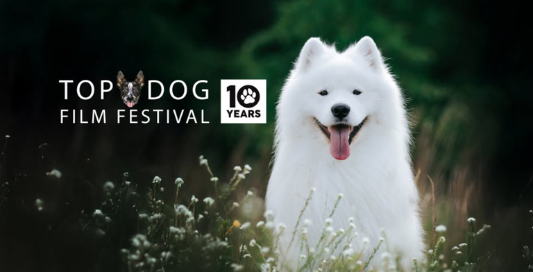 top_dog_film_festival_2026_-_red_hot_arts_website_-_main_event_image