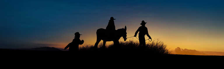 e0ea0a60-ce6b-469a-8829-a2bde337bd83