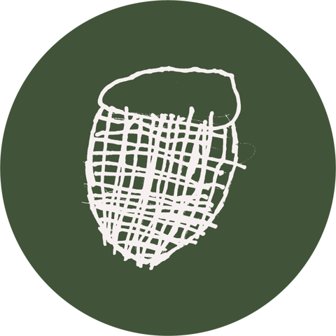 TDW Basket Dove2 On Olive