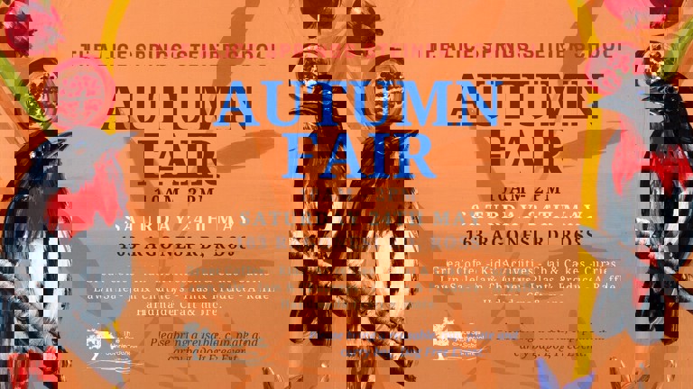 Steiner Fair Banner